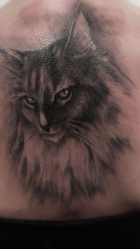 Mainecoon tattoo Mainecoon Cat Tattoo, Mainecoon Tattoo, Mainecoon Cat, Tattoo Cat, Cat Tattoo, Tattoos, Animals