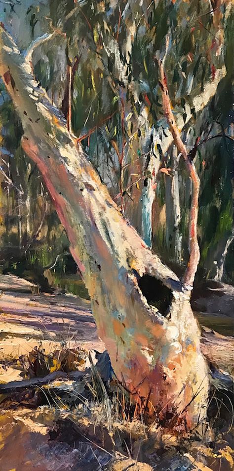 Australia Landscape, Australian Trees, Australian Painting, Australian Painters, Oil Painting Inspiration, Australian Landscape, Balance Art, Contemporary Landscape Painting, Pastel Landscape