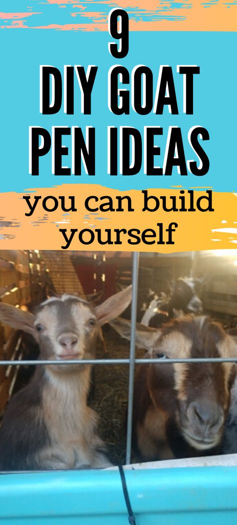 Play Area For Goats, Diy Goat Projects, Diy Pallet Goat Pen, Goat Feed Storage Ideas, Pig And Goat Pen Ideas, Diy Goat Pen Fence, Backyard Goat Pen, Animal Shelters Diy, Pygmy Goat Enclosure Ideas