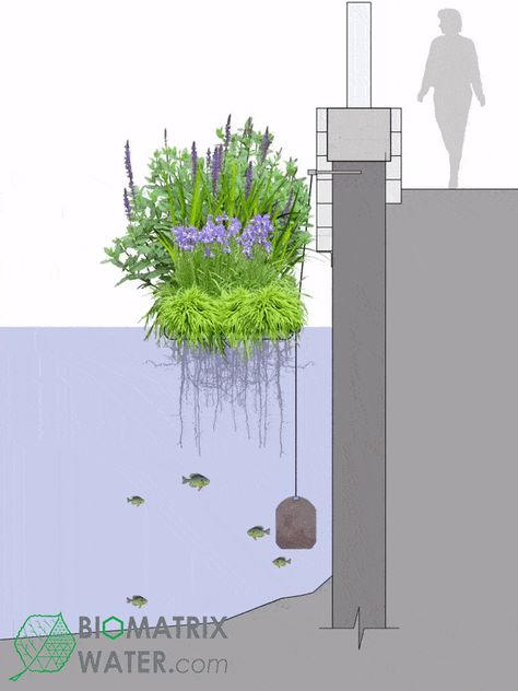 Floating Gardens, Waterfront Architecture, Floating Architecture, Floating Garden, Urban Landscape Design, Landscaping Inspiration, Floating Plants, Natural Swimming Pools, Water Collection