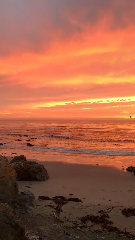 Sunset In Beach, Sunset On Beach, California Video, Sunset Video, Cambria California, Central Coast California, Sunrise Pictures, Beautiful Ocean Pictures, Fotografi Digital