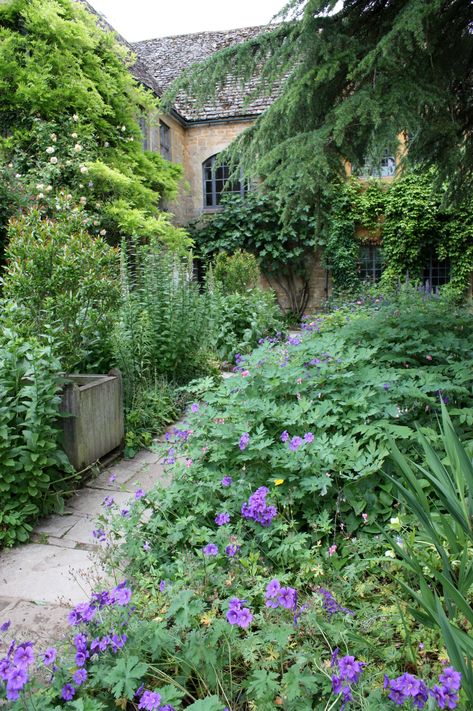 Hidcote Manor Garden, Planting Schemes, Manor Garden, Landscape Gardening, English Gardens, Cottage Garden Design, Garden State, Flower Stand, Natural Garden