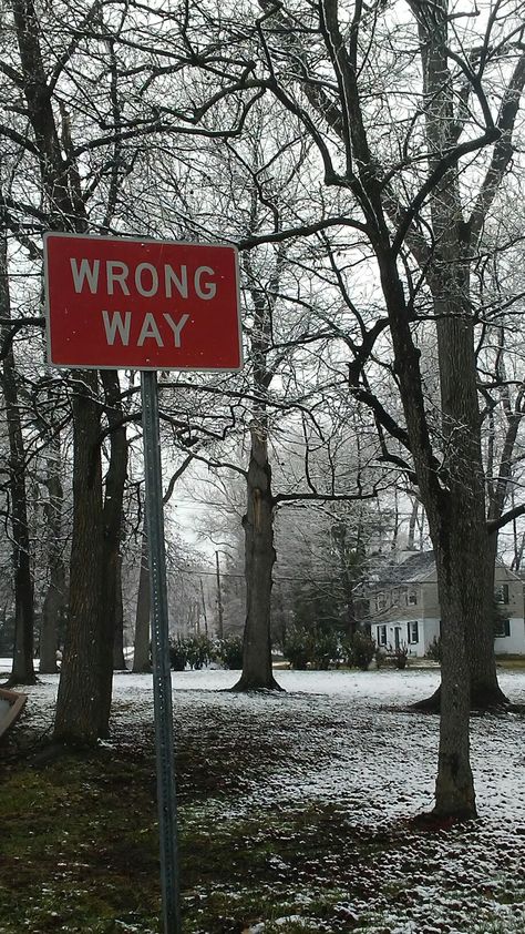 Wrong Way Sign, Spring Red, Black And White Picture Wall, Red Pictures, Gray Aesthetic, Black Picture, Black And White Wallpaper, Black And White Aesthetic, Winter Aesthetic