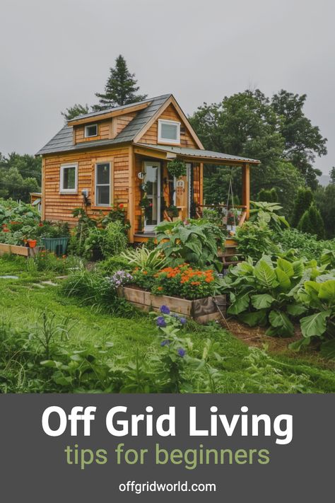 Discover the joys and challenges of off grid living! Our comprehensive guide is packed with practical tips to help you transition seamlessly into a self-reliant lifestyle. Dive into the world of renewable energy, rainwater harvesting, and sustainable living. It's not just a lifestyle, it's an adventure! Are you ready to explore? Off Grid Garden Ideas, Of Grid Living, Off Grid Water System, Off Grid Homes, Offgrid Lifestyle, Off The Grid Living, Well Water System, Homestead Skills, Forest Living