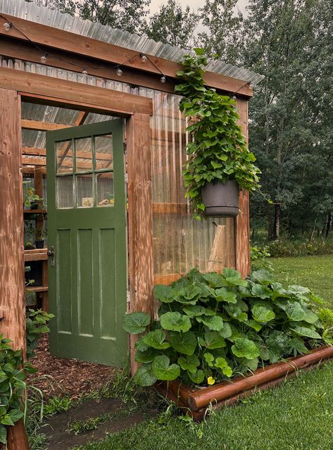 DIY and gardening has been a passion of mine for a long time, and once we built our first greenhouse space, the Petunia, I fell head over heels in love with it. This is the story of how The Hillside Market was born and how we are able to help others achieve sustainability through DIY. #greenhousegrown #diygreenhouse #diybackyard Green House Entrance, Lean To Greenhouse Made From Old Windows, Green House Ideas Small, Greenhouse In Front Yard, Leanto Greenhouse Diy, How To Maximize Greenhouse Space, Diy Greenhouse Shed, Greenhouse Lean To, Diy Garden Shed Ideas