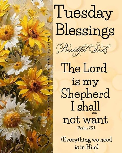 Tuesday Blessings Scripture, Tuesday Blessings Inspiration, Good Morning Saturday Wishes, Tuesday Quotes Good Morning, Tuesday Blessings, Faith Verses, God Blessings, Week Quotes, Psalm 23 1