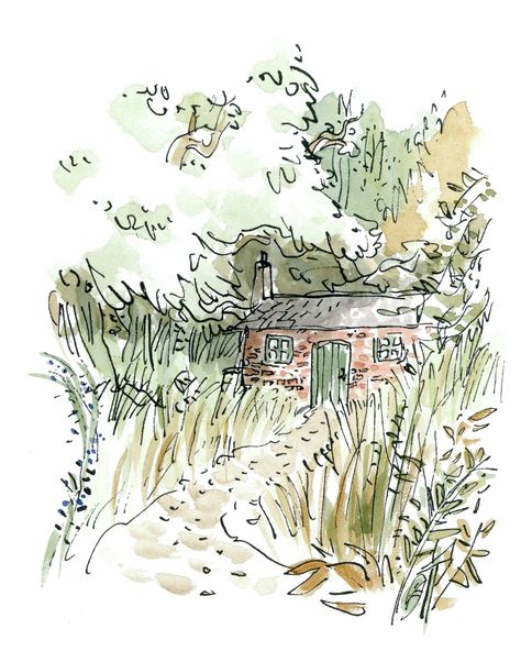 Miss Honey’s Cottage from Roald Dahl’s "Matilda" (http://tygertale.wordpress.com/2013/07/01/miss-honeys-cottage-from-roald-dahls-matilda/) Quentin Blake Illustrations, Matilda Roald Dahl, Miss Honey, Quentin Blake, Childrens Books Illustrations, Roald Dahl, Childrens Illustrations, Children's Book Illustration, Book Illustration