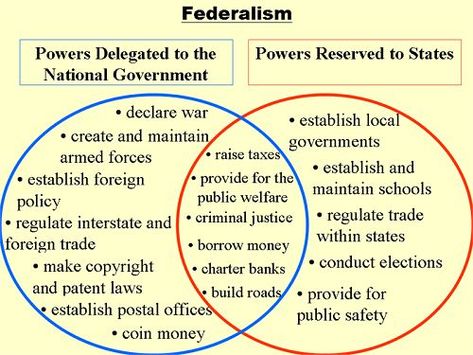 Government Lessons, Teaching Government, Ap Government, Social Studies Notebook, American History Lessons, Branches Of Government, American Government, Venn Diagram, Teaching Social Studies