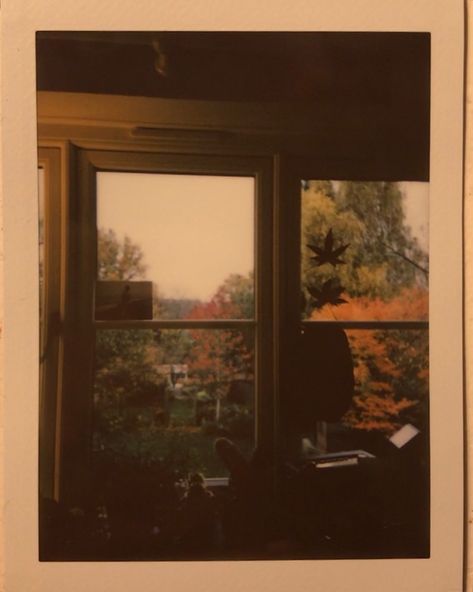 Autumn Aesthetic Playlist Cover, Fall Aesthetic Album Cover, Fall Aesthetic Spotify Cover, Fall Aesthetic Playlist Cover, Fall Album Cover Spotify, 70s Autumn Aesthetic, Fall Indie Aesthetic, Autumn Aesthetic Phone Layout, 70s Fall Aesthetic