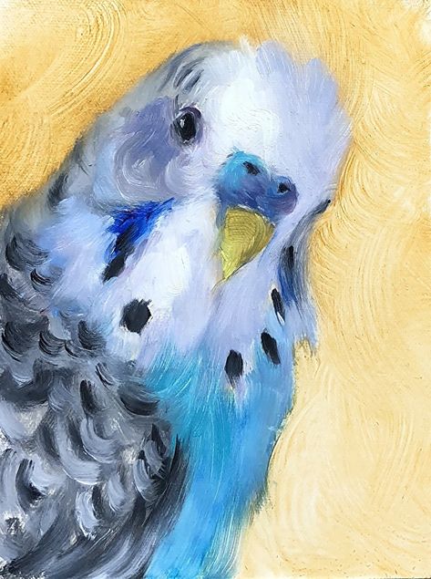 Budgie by Johanne Mangi Oil ~ 8 x 6 Acrylic Animal Paintings, Budgie Drawing, Parakeet Painting, Budgie Painting, Budgie Art, Animal Oil Painting, Bird Painting Acrylic, Animal Paintings Acrylic, Fall Canvas Painting