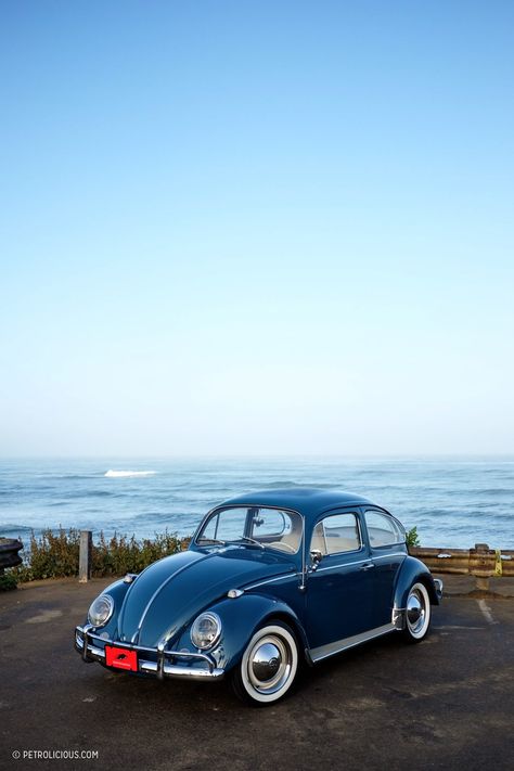 It’s Zelectric: Why This Volkswagen Beetle Could Be The Perfect EV Classic • Petrolicious Vw Beetle Custom, Vw Beetle Accessories, Vw Beetle Convertible, Sandakan, Vw Sedan, Volkswagen New Beetle, Classic Volkswagen, Beetle Car, Beetle Convertible