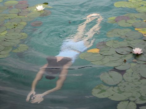 Pond swimming Paris Film, Arte Inspo, Foto Art, Lily Pads, Aesthetic Photography, Aesthetic Pictures, Art Inspo, A Man, Mood Board