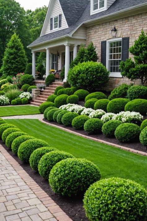 Classic Front Garden, Beautiful Yards Ideas, Boxwood Foundation Planting, Front Yard Garden Design Ideas, Front Door Garden Ideas, Landscaping Side Of House, Boxwood Landscaping Front Yard, French Landscaping, Estate Landscaping