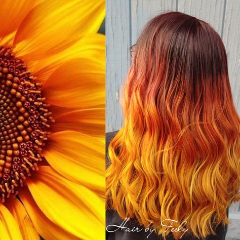 Sunflower, fire, red hair, orange hair, yellow hair, fall hair, sunflower hair, fire hair, goldwell, elumen, #hairbyfeely #letmefeelyyourhair Copper Hair With Yellow Highlights, Red To Yellow Hair, Orange Hair With Yellow Highlights, Orange To Yellow Ombre Hair, Sunflower Balayage Hair, Yellow Orange Hair Color, Sunflower Ombre Hair, Fall Leaves Hair Color, Orange Bayalage Hair