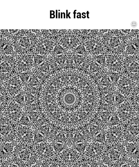 Blink Fast! The Meta Picture, Eye Tricks, Cool Illusions, Crazy Stuff, Mind Tricks, Wow Art, Brain Teasers, Op Art, Optical Illusions