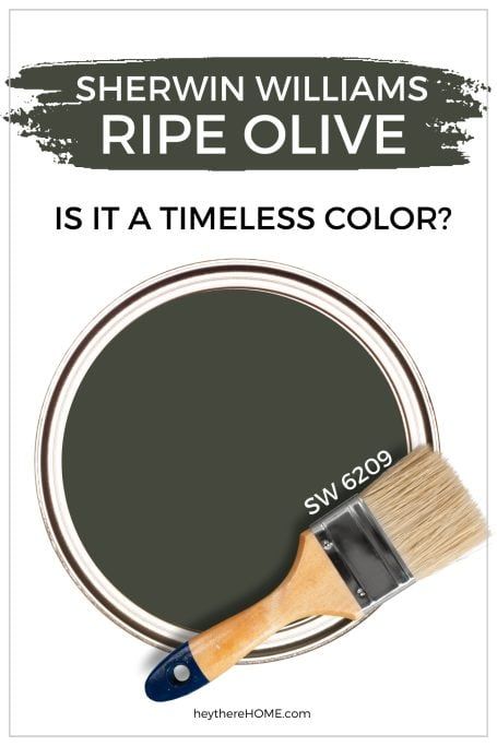 Sherwin Williams Ripe Olive - A Fresh Choice For Your Home Charleston Green Paint Sherwin Williams, Rock Garden Sherwin Williams, Sherwin Williams Olive Grove, Rosemary Paint Sherwin Williams, Ripe Olive Sherwin Williams, Rosemary Sherwin Williams, Green Gray Paint Colors, Green Gray Paint, Things Paint