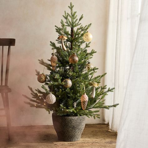 Potted Christmas Tree, French Christmas Decor, Natal Natural, Christmas Coffee Table Decor, Potted Christmas Trees, Norway Spruce, Winter Planter, Diy Christmas Decor, Christmas Mantle Decor