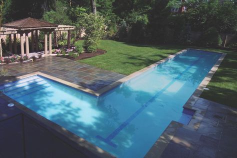 Florida Pools, Lap Pools Backyard, Lap Pool Designs, Lap Pools, Pools Backyard Inground, Residential Pool, Lap Swimming, Pool Landscape, Small Swimming Pools