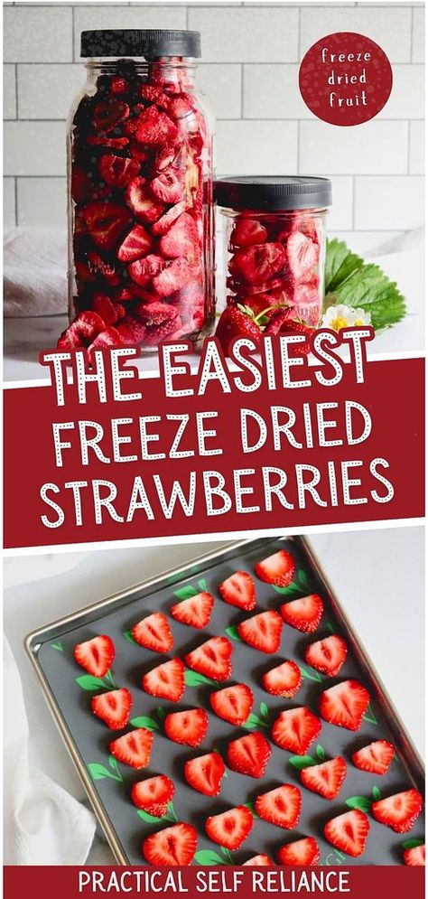 Freeze-dried strawberries are intensely delicious and a perfect snack or addition to cereals, yogurt, or baking. While store-bought can be pricey, making them at home is simple and cost-effective. Learn how to freeze-dry strawberries using your Harvest Right freeze dryer for a concentrated burst of strawberry flavor. Find more preserving food recipes, preserving strawberries, self-sufficient living, and Preserving Fruit in Jars | Fruit Preserves at practicalselfreliance.com. Diy Freeze Dried Fruit, Freeze Dry Strawberries, Freeze Dry Fruit, Preserving Strawberries, Dry Strawberries, Canning Fruit Recipes, Preppers Food Storage, Freeze Dried Food Storage, Dehydrated Strawberries