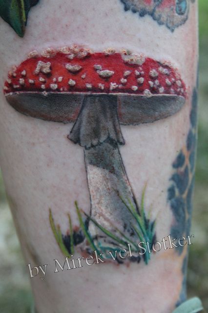 photo-realistic fly agaric mushroom tattoo by Mirek vel Stotker Realistic Mushroom, Tattoo For Baby Girl, Fly Agaric Mushroom, Mushroom Tattoo, Autumn Tattoo, Mushroom Tattoos, Fly Agaric, Angel Wings Tattoo, Wing Tattoo