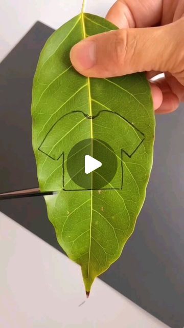 Nature Crafts Kids, Leaf Art Diy, Flower Crafts Kids, Diy Science Experiments, Hand Crafts For Kids, Aktivitas Montessori, Leaf Crafts, Led Diy, Diy Crafts For Kids Easy