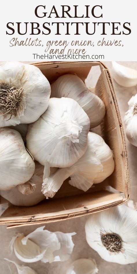 Need a good substitute for garlic cloves? Garlic has a unique flavor that’s hard to replace. But if you’re in a pinch and need a replacement, here’s the best garlic substitutes you can use. Substitute For Garlic, Garlic Substitute, Harvest Kitchen, Garlic Uses, Garlic Bulb, Garlic Clove, Garlic Recipes, Cooking Basics, Wholesome Food