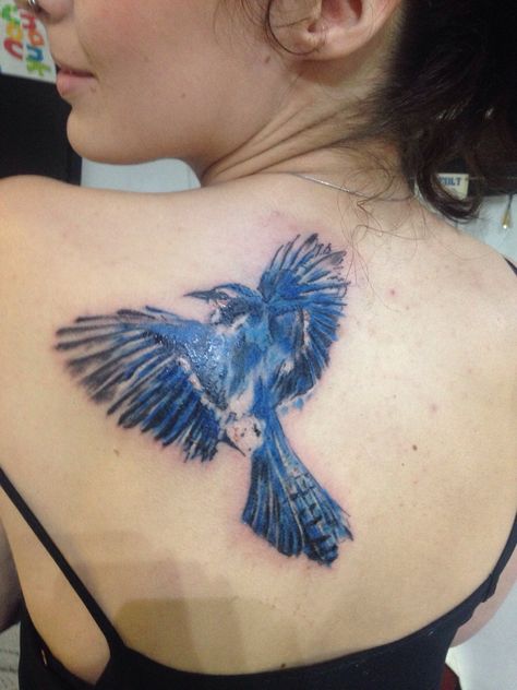 Blue Jay Tattoo, Jay Tattoo, Bird Tattoo Men, Bluebird Tattoo, Jack Tattoo, Left Arm Tattoos, Aquarius Tattoo, Mouse Tattoos, Bull Tattoos