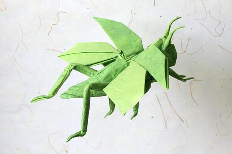 flying grasshopper | by nyanko sensei Origami Grasshopper, Origami Bugs, Goth Crafts, Making Origami, Origami Cranes, Dog Insurance, Origami Butterfly, Origami Paper Art, Origami Instructions