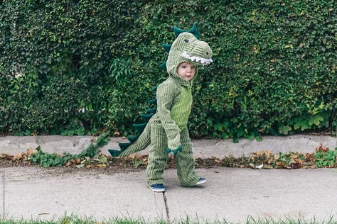 Dinosaur Costume Kids, Cute Dinosaur Costume, Dinosaur Custome, Dinosaur Toddler Costume, Dinosaur Costume Toddler, Diy Kids Dinosaur Costume, Stegosaurus Costume, Dinosaur Stroller Costume, Dinosaur Custome Halloween