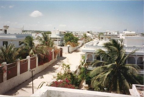 Somalia Aesthetic, Mogadishu Somalia, Desert Climate, Socotra, Urban Landscape Design, Wide World, Aesthetic Vintage, Beautiful Kitchens, Urban Landscape