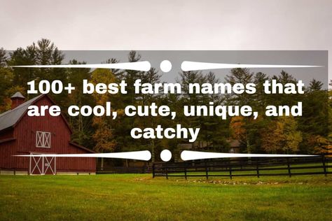 Funny Farm Names, Farm Names Unique, Homestead Names Ideas, Farm Names Ideas, Cool Unique Names, Farm Names, Ranch Names, Farm Room, Farm Town