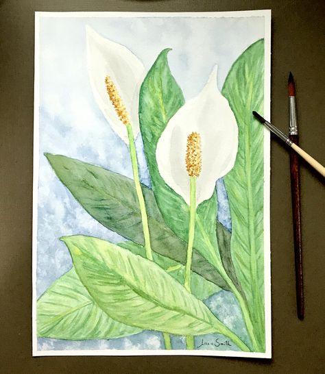 Watercolor Peace Lily Peace Lily Watercolor, Peace Lily Painting, Peace Lily Drawing, Watercolor Drops, Drawing Hacks, Nature Canvas Painting, Lilies Drawing, Butterfly Art Drawing, Simple Drawings