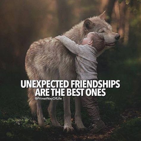 Unexpected Friendship Quotes, Unexpected Friendship, Regnul Animal, Girl Truths, Wolf Quotes, Friendship Humor, She Wolf, Neil Armstrong, Friendship Quotes Funny