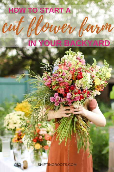 How to Start an Urban Flower Farm on the Cheap Flower Farm Business, Food Organisation, Backyard Flowers Garden, Organisation Tips, Cut Flower Farm, Farm Business, Backyard Flowers, Flower Business, Flower Farmer