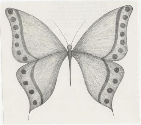 Como Dibujar Una Mariposa | Dibujo Fácil De Mariposa Pencil Sketches Landscape, Butterfly Sketch, Bff Drawings, Girl Drawing Sketches, Cool Pencil Drawings, Art Drawings Sketches Pencil, Butterfly Drawing, Easy Drawings Sketches, Pencil Art Drawings