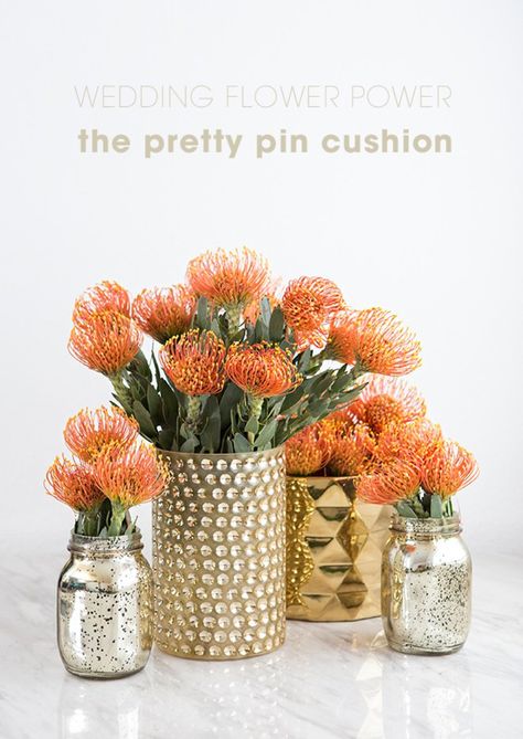 These pin cushion flowers would be amazing for your wedding! Pin Cushion Protea Centerpiece, Protea Centerpiece, Pin Cushion Protea, Mexico City Wedding, Protea Art, Bush Wedding, Wedding Flower Guide, 50th Birthday Party Decorations, Tropical Florals