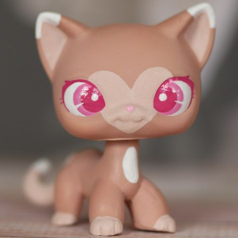 Lps Drawings, Lps Popular, Lps Cats, Custom Lps, Lps Toys, Lps Pets, Lps Littlest Pet Shop, Custom Toys, December 31