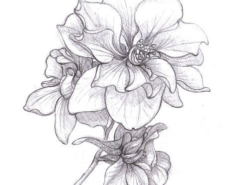 Some flowing flower shapes of the Larkspur flower. I use to be very good at drawing flowers, and it would be nice to get back into them. The... Larkspur Flower Tattoos, Larkspur Tattoo, Tattoos Pinterest, July Birth Flower, Larkspur Flower, Beautiful Flower Drawings, Muster Tattoos, Birth Flower Tattoos, Geniale Tattoos