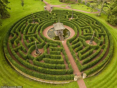 Garden Mazes, Maze Art, Maze Garden, Amazing Maze, Dumfries House, Labyrinth Garden, Garden Maze, Labyrinth Maze, Labyrinth Design