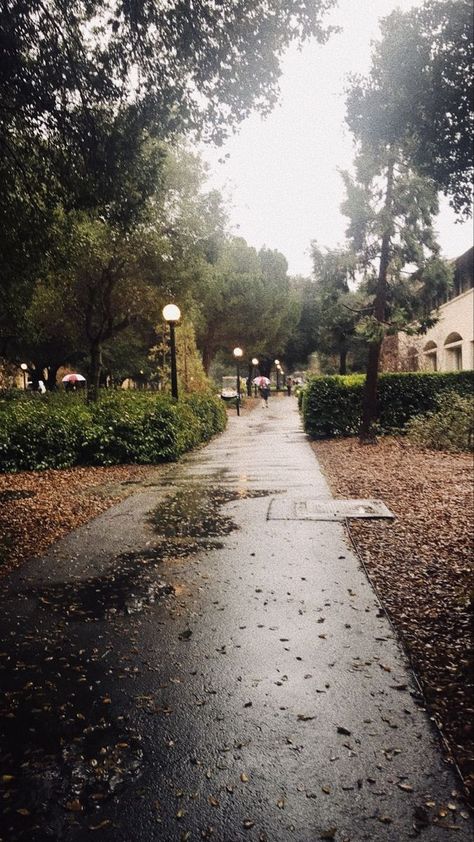 Haverford College Aesthetic, College Classes Aesthetic, Stanford Moodboard, Walking To Class Aesthetic, Foggy Fall Vibe, College Freshman Aesthetic, College Class Aesthetic, College Aesthetic Pictures, College Astethic