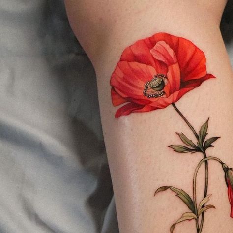 Wicked Poppy Tattoo, Iceland Poppy Tattoo, Poppy Color Tattoo, Iceland Poppy, Papaver Rhoeas, Poppy Tattoo, Poppies Tattoo, Poppy Color, Botanical Tattoo