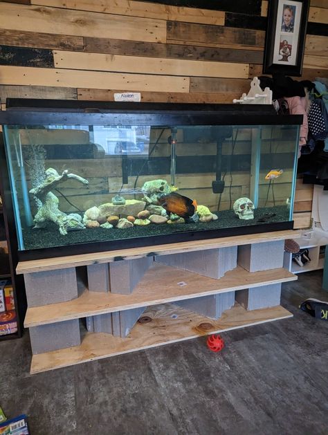 Cinder Block Fish Tank Stand, 75 Gallon Aquarium Stand, 75 Gallon Aquarium, Fish Tank Stand, Diy Console, Cinder Blocks, Tank Stand, Aquarium Stand, Diy Tank