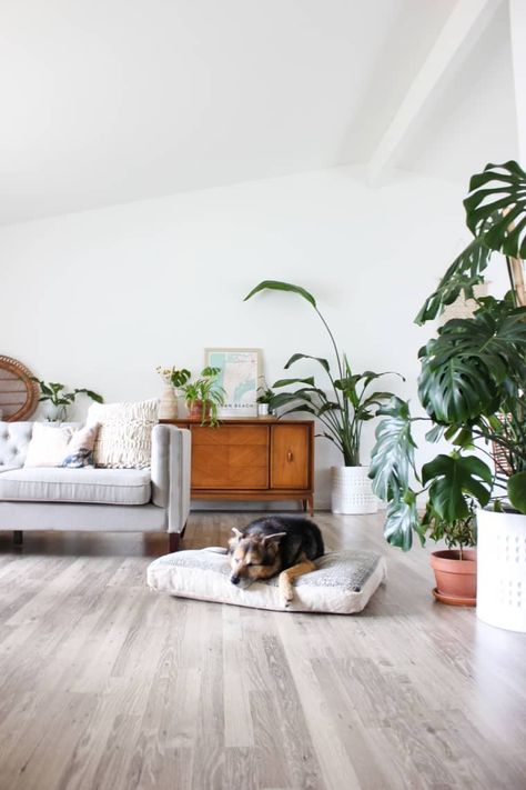 This apartment is positively FILLED with plants. We love the built in shelves in the living room and the bright white rug that adds to the light, natural vibe of the space. The coffee table and wicker details make everything feel put together and boho. Room Lighting Design, Floor Cushions Living Room, Living Room Lighting Design, Room Plants, Wood Furniture Living Room, Grey Floor, Grey Wood Floors, Natural Wood Furniture, Indian Living Rooms