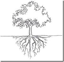 Tree-Root-Drawing Tree With Roots Drawing, Giving Tree Tattoos, Roots Illustration, Roots Drawing, Tree With Roots, Roots Tattoo, Family Tree Project, Tree Sketches, Trendy Tree