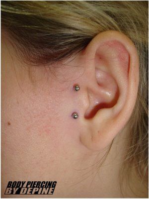 Waaaaant. Vertical Tragus Piercing, Surface Tragus Piercing, Surface Tragus, Surface Piercing, Anti Tragus, Septum Nose, Cute Piercings, Piercings Unique, Tragus Piercing