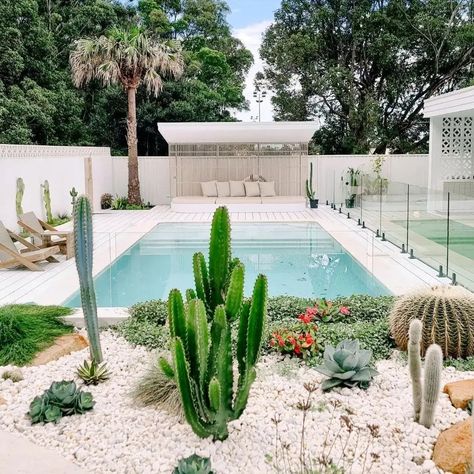 Palm Springs House Exterior, Palm Springs Backyard, Palm Springs Landscaping, Palm Springs Garden, Plants Around Pool, Palm Springs Pool, Palm Springs Aesthetic, Palm Springs House, Pool House Designs