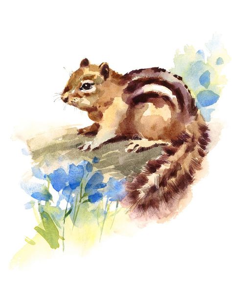 Chipmunk Drawing, Squirrel Watercolor, Cute Chipmunk, Bunny Book, Bird Watercolor Paintings, Flowers Illustration, Diy Watercolor Painting, Flowers Watercolor, Hand Drawn Illustration