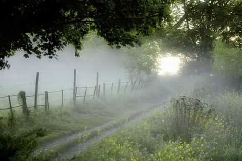 Misty Morning | Explore, June 14, 2011. | Martin Pinker | Flickr Foggy Morning, Back Road, Jairzinho, Country Road, Farm Life, Country Life, Pretty Pictures, Beautiful World, Mother Nature