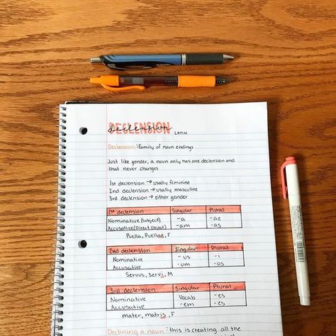 Study Pig on Instagram: "Latin notes! What language are you guys learning? Everyone that is going to be affected by hurricane Florence I will be praying for you!❤️ ~ ~ ~ ~ #notegoal #pentelenergel #mildliners #studytips #orange #studycommunity #studygram #study #studymotivation #studyblr #pilotg2 #latin #latinnotes #handwriting" Latin Notes, Pentel Energel, Study Motivation, Study Tips, Handwriting, Florence, Writing, Orange, On Instagram