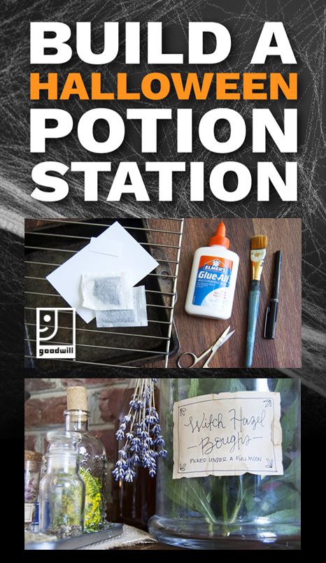 Create your own DIY potion station! A great thrifty addition to your Halloween decor. Potion Display Halloween, Halloween Potion Station, Potion Making Station, Potions Trunk Or Treat, Witchcraft Halloween Decor, Potion Station, Potion Station For Kids, Halloween Selfie Station, Halloween Stations